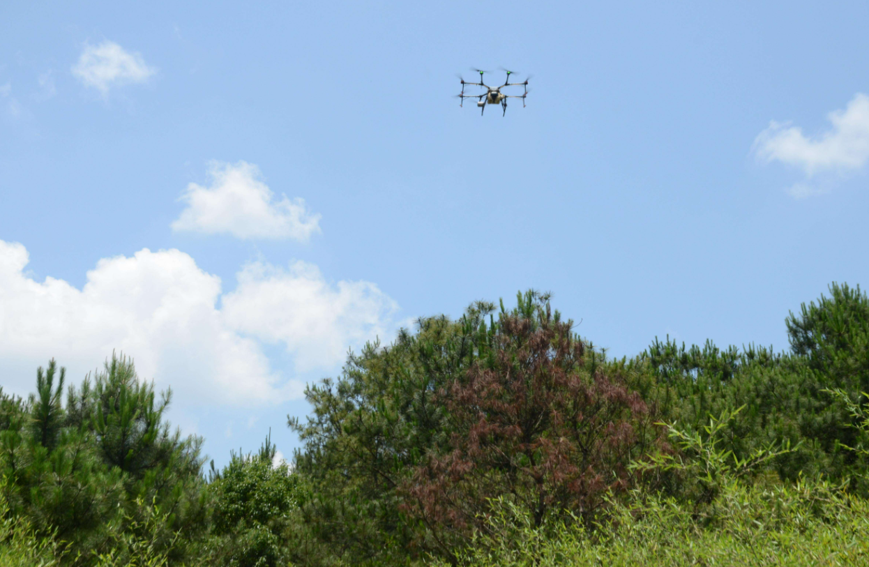 以蟲治蟲 三亞首用無人機(jī)釋放天敵防治害蟲護(hù)航綠色農(nóng)業(yè)(圖1)