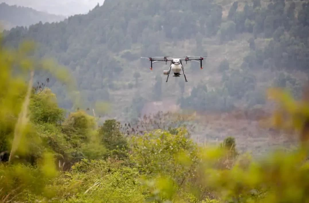 克羅地亞通過(guò)無(wú)人機(jī)播種修復(fù)被大火破壞的森林(圖1) 克羅地亞通過(guò)無(wú)人機(jī)播種修復(fù)被大火破壞的森林(圖1)